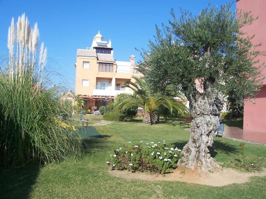 Bajo Con Terraza Piscina Y Jardin Apartment Sanlucar de Barrameda Exterior photo